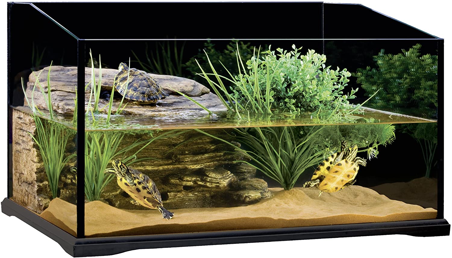 Setting up your terrarium for aquatic turtles