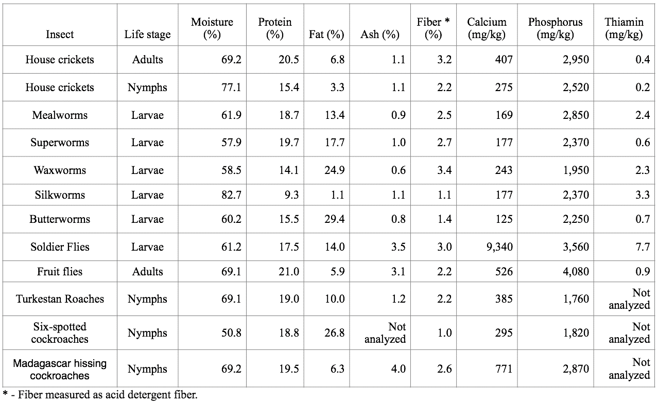 What insects do reptiles eat?