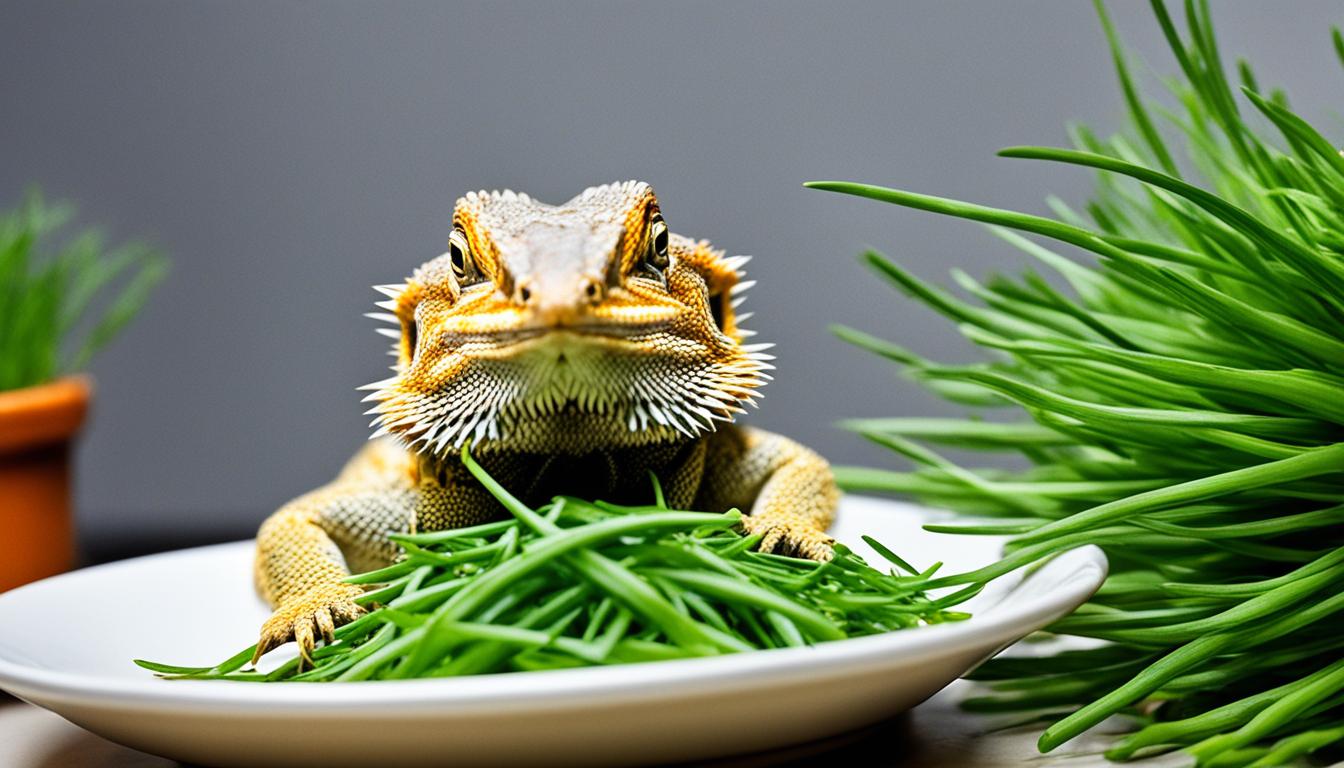 Can Bearded Dragons Eat Chives? Vet's Advice