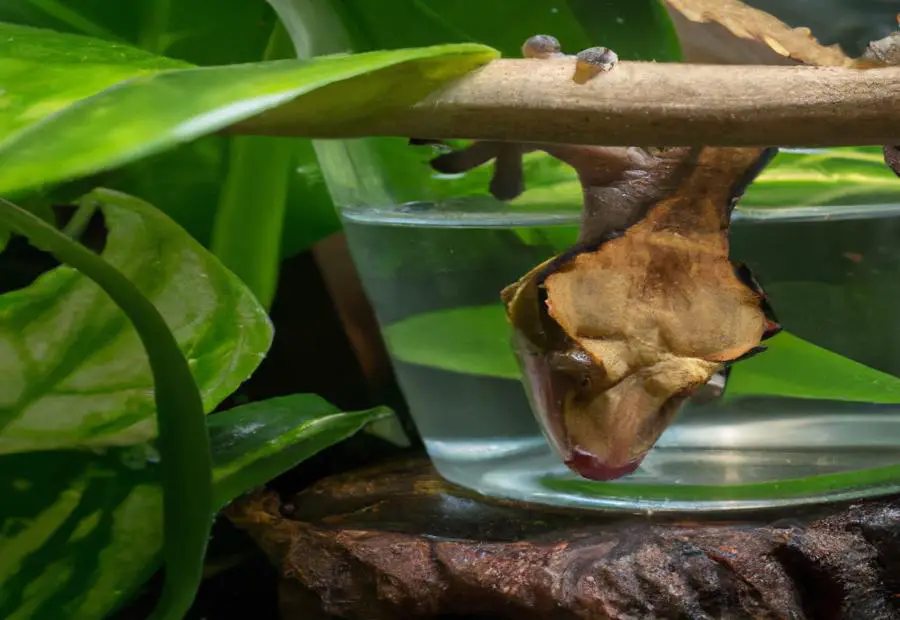 Conclusion: Ensuring the Well-being of Crested Geckos 
