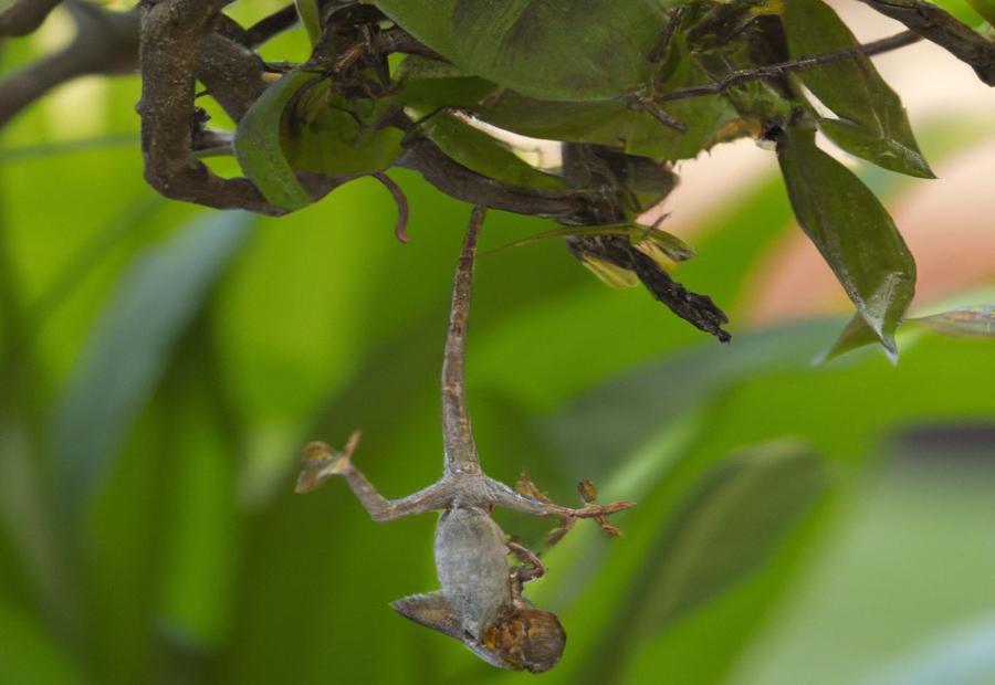 Do geckos take fall damage