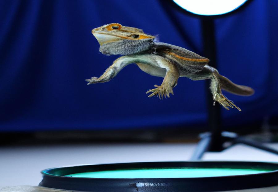 Factors Affecting the Jumping Ability of Bearded Dragons - How far Can bearded dragons jump 