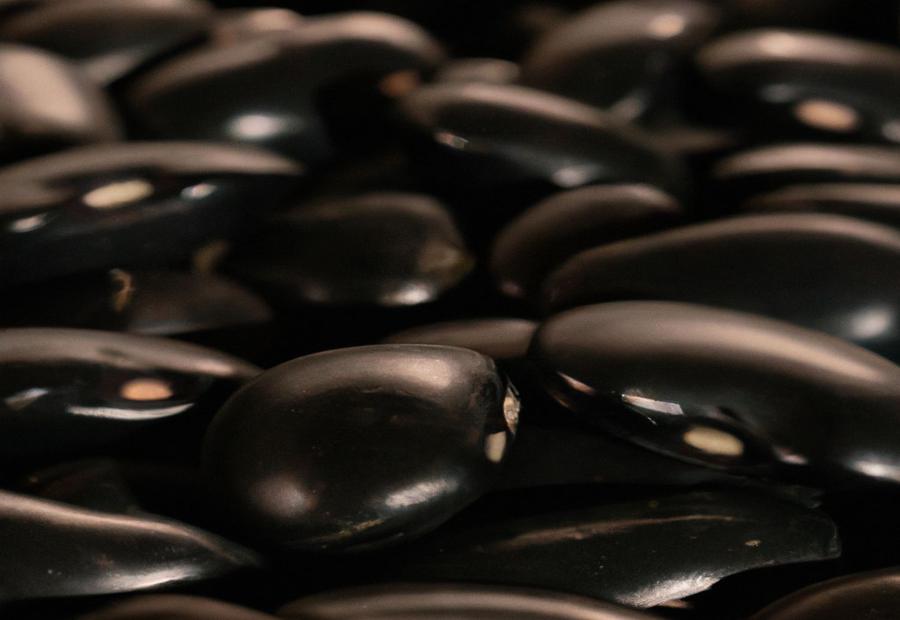 Storage and Purchasing Tips - What Do black turtle beans taste lIke 