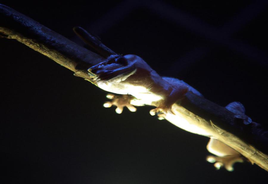 Why Do geckos turn black