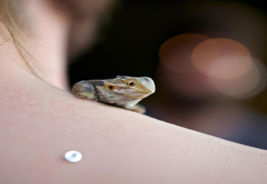Why Do Bearded Dragons Poop on Their Owners? - Why Does my bearded dragon poop on me 